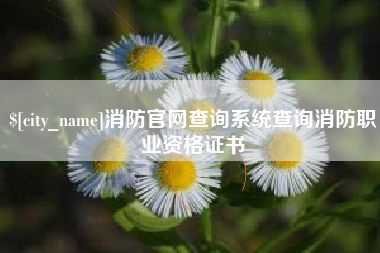 宁波消防官网查询系统查询消防职业资格证书