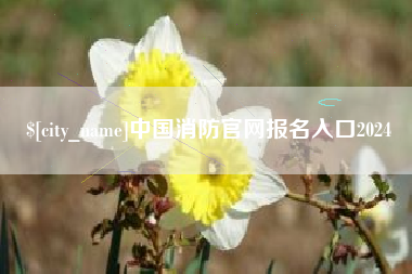 宁波中国消防官网报名入口2024