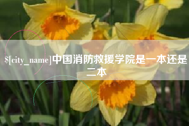 宁波中国消防救援学院是一本还是二本