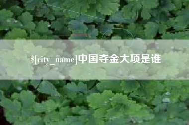 宁波中国夺金大项是谁