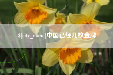 宁波中国已经几枚金牌