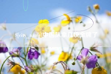 宁波中国队拿几块金牌了