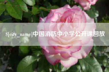 宁波中国消防中小学公开课回放