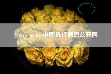 宁波中国执行信息公开网