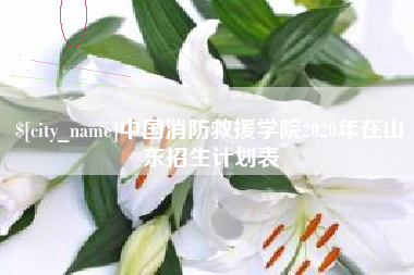 宁波中国消防救援学院2020年在山东招生计划表