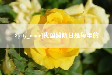宁波我国消防日是每年的