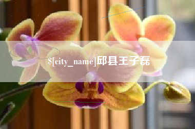宁波邱县王子磊