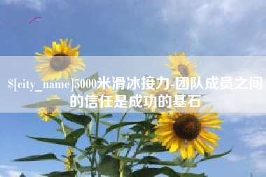 宁波5000米滑冰接力-团队成员之间的信任是成功的基石