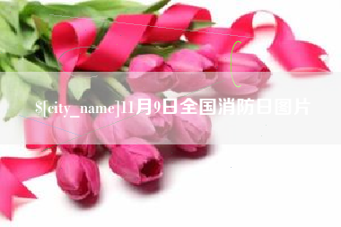 宁波11月9日全国消防日图片