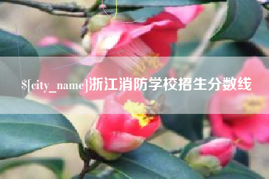 宁波浙江消防学校招生分数线