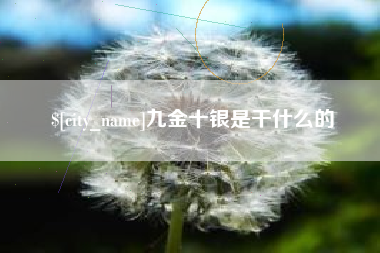 宁波九金十银是干什么的