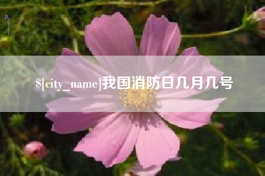 宁波我国消防日几月几号