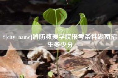 宁波消防救援学院报考条件湖南招生多少分
