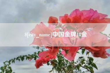 宁波中国金牌18金