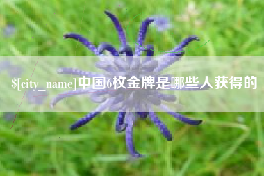 宁波中国6枚金牌是哪些人获得的