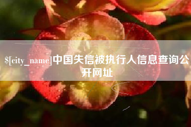宁波中国失信被执行人信息查询公开网址
