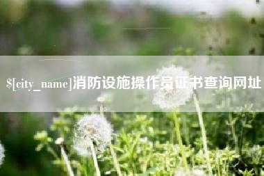 宁波消防设施操作员证书查询网址