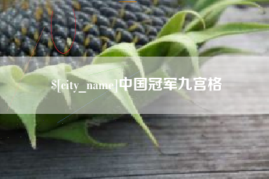 宁波中国冠军九宫格