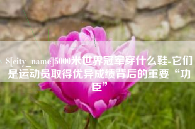 宁波5000米世界冠军穿什么鞋-它们是运动员取得优异成绩背后的重要“功臣”