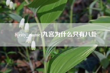 宁波九宫为什么只有八卦
