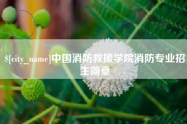 宁波中国消防救援学院消防专业招生简章