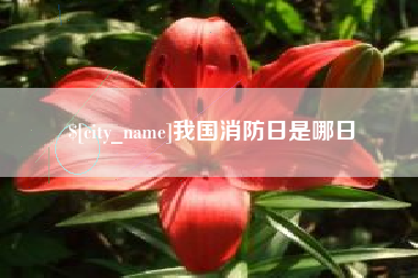 宁波我国消防日是哪日