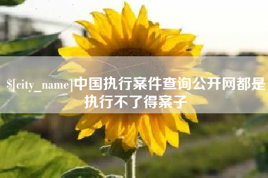 宁波中国执行案件查询公开网都是执行不了得案子
