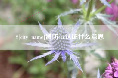 宁波消防ccc认证什么意思