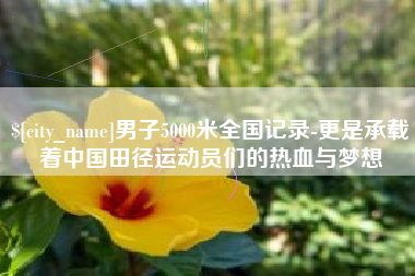宁波男子5000米全国记录-更是承载着中国田径运动员们的热血与梦想