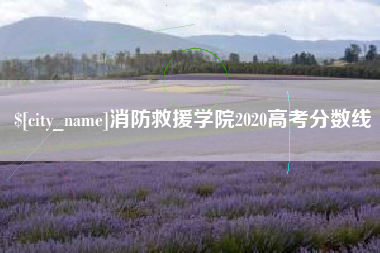 宁波消防救援学院2020高考分数线
