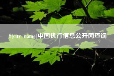 宁波中国执行信息公开网查询