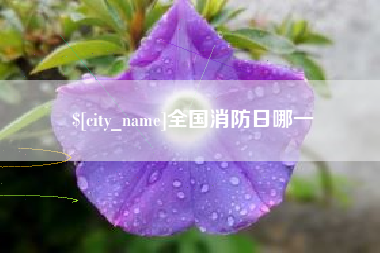 宁波全国消防日哪一