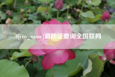 宁波消防证查询全国联网