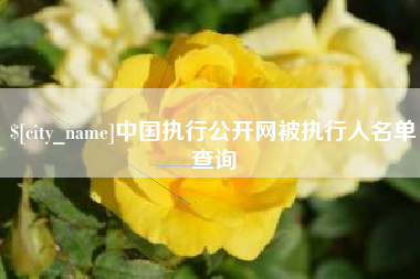 宁波中国执行公开网被执行人名单查询