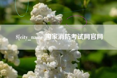 宁波国家消防考试网官网
