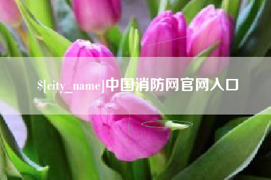宁波中国消防网官网入口