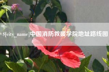 宁波中国消防救援学院地址路线图