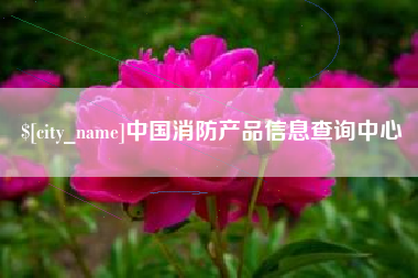 宁波中国消防产品信息查询中心