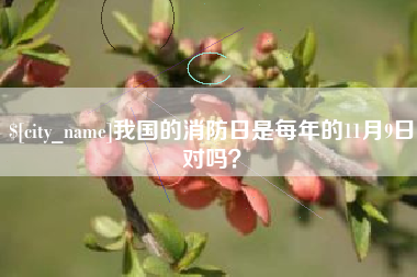 宁波我国的消防日是每年的11月9日对吗？