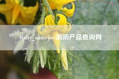 宁波ccc消防产品查询网