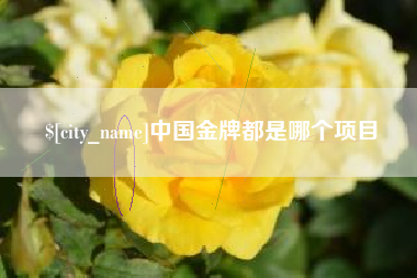 宁波中国金牌都是哪个项目