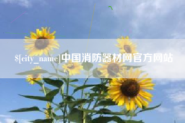 宁波中国消防器材网官方网站