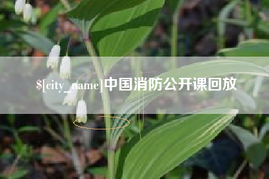宁波中国消防公开课回放