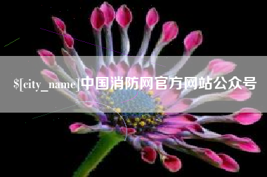 宁波中国消防网官方网站公众号