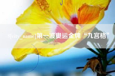 宁波第一波奥运金牌“九宫格”