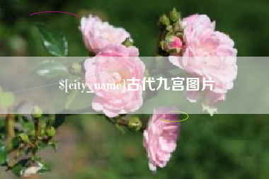 宁波古代九宫图片