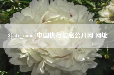 宁波中国执行信息公开网 网址