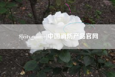 宁波中国消防产品官网
