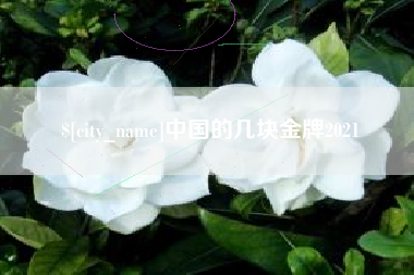 宁波中国的几块金牌2021