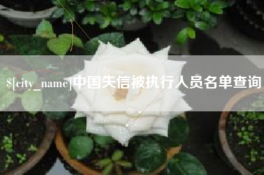 宁波中国失信被执行人员名单查询